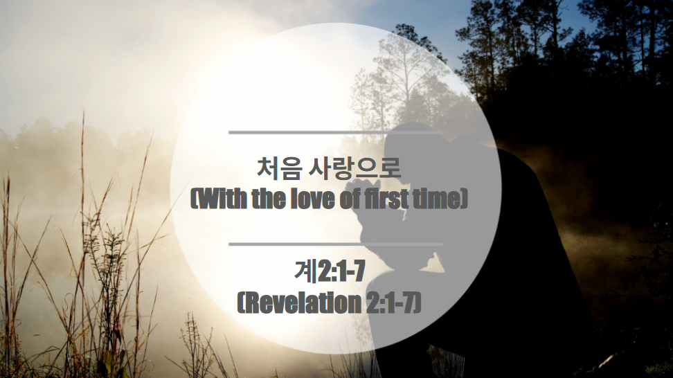 처음 사랑으로                                                      (With the love of first time)